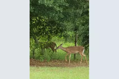 27167 Popiel Road, Brooksville, FL 34602 - Photo 56