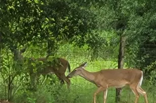 27167 Popiel Rd, Brooksville, FL 34602 - Photo 56