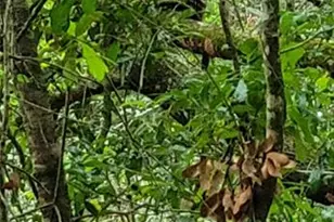 27167 Popiel Rd, Brooksville, FL 34602 - Photo 52