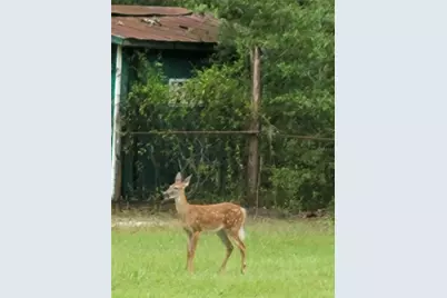 27167 Popiel Road, Brooksville, FL 34602 - Photo 50