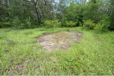 27167 Popiel Road, Brooksville, FL 34602 - Photo 44
