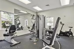 13761 Weatherstone Dr, Spring Hill, FL 34609 - Photo 88