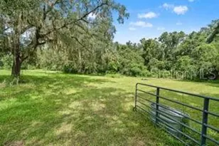 10245 E Trails End Rd, Floral City, FL 34436 - Photo 6