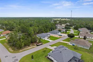 3 Lupine St, Homosassa, FL 34446 - Photo 42