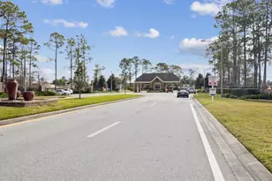 18711 Rolling Hills Loop, Hudson, FL 34667 - Photo 30