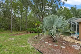 6 Coconut Ct, Homosassa, FL 34446 - Photo 30