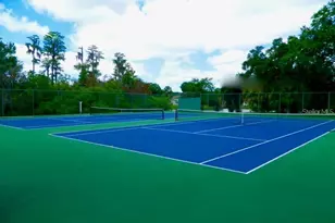 11719 Rose Tree Dr, New Port Richey, FL 34654 - Photo 48