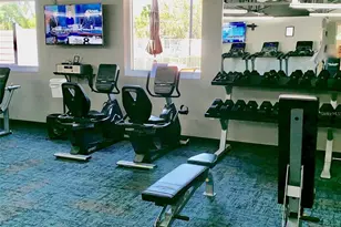 11719 Rose Tree Dr, New Port Richey, FL 34654 - Photo 44