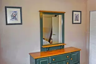 20893 Haulover Cove, Lutz, FL 33558 - Photo 22