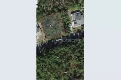 38 Fringetree Street, Homosassa, FL 34446 - Photo 1