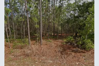 38 Fringetree Street, Homosassa, FL 34446 - Photo 2