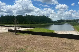 32226 Eldorado Canyon Loop, Wesley Chapel, FL 33543 - Photo 2