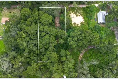 15290 NW 46th Avenue, Reddick, FL 32686 - Photo 6