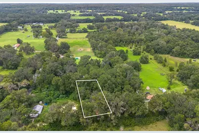 15290 NW 46th Avenue, Reddick, FL 32686 - Photo 4