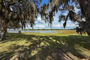 9440 Cougar Dr, Weeki Wachee, FL 34613 - Photo 34