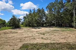 12340 Birch St, Brooksville, FL 34613 - Photo 6