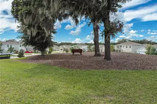 14069 Wineberry Dr, Dade City, FL 33525 - Photo 54