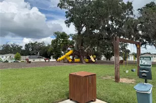 14069 Wineberry Dr, Dade City, FL 33525 - Photo 52