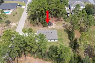 7751 N Cricket Dr, Citrus Springs, FL 34434 - Photo 28