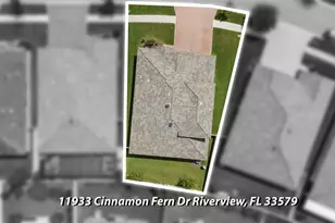 11933 Cinnamon Fern Dr, Riverview, FL 33579 - Photo 62