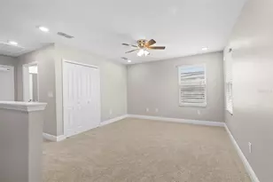 11933 Cinnamon Fern Dr, Riverview, FL 33579 - Photo 28