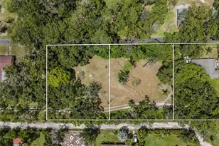 20125 Green Grass Ln, Lutz, FL 33558 - Photo 8