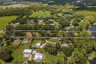 20125 Green Grass Ln, Lutz, FL 33558 - Photo 12