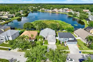 10435 Deerberry Dr, Land O Lakes, FL 34638 - Photo 50