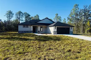 13198 Barnevelde Rd, Brooksville, FL 34614 - Photo 2