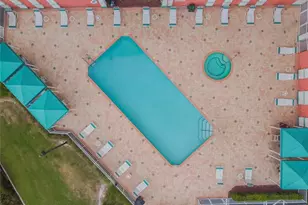 4516 Seagull Dr, New Port Richey, FL 34652 - Photo 46