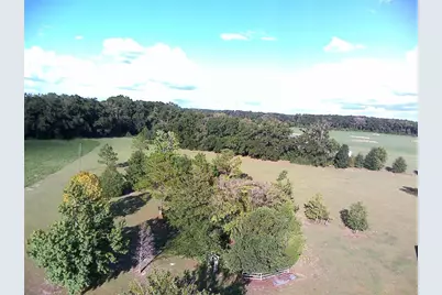 5559 SW 42nd Place, Bell, FL 32619 - Photo 20