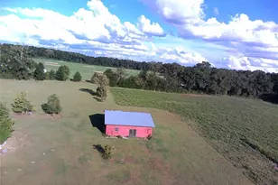 5559 SW 42nd Pl, Bell, FL 32619 - Photo 16