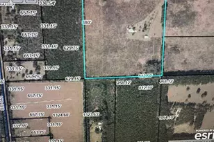 5559 SW 42nd Pl, Bell, FL 32619 - Photo 2