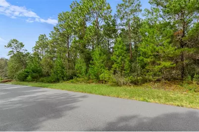 4099 W Malaluka Circle, Citrus Springs, FL 34433 - Photo 4