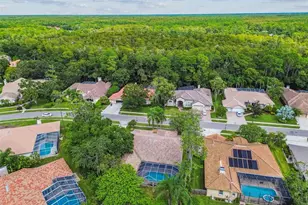 1384 Forestedge Blvd, Oldsmar, FL 34677 - Photo 76