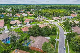 1384 Forestedge Blvd, Oldsmar, FL 34677 - Photo 80