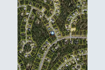 101 Whitewood Street, Homosassa, FL 34446 - Photo 2