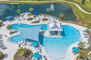 19494 Sea Glass Cir, Land O Lakes, FL 34638 - Photo 46