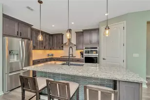 19494 Sea Glass Cir, Land O Lakes, FL 34638 - Photo 6