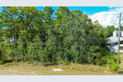 7303 W Homosassa Trail, Homosassa, FL 34448 - Photo 4