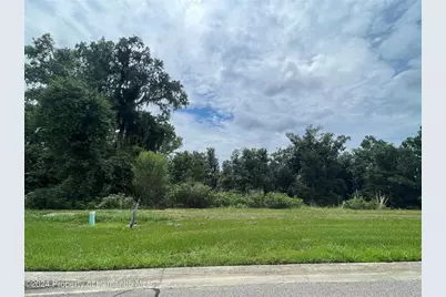 5995 Creek Ridge Road, Brooksville, FL 34601 - Photo 2