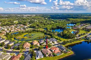 3041 Stonegate Falls Dr, Land O Lakes, FL 34638 - Photo 54