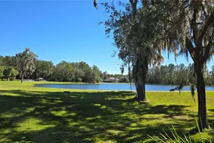 19906 Tattnall Way, Brooksville, FL 34601 - Photo 54