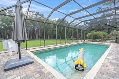 7908 Lady Lake Lane, Odessa, FL 33556 - Photo 52