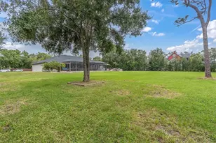 7908 Lady Lake Ln, Odessa, FL 33556 - Photo 60