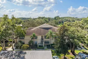 3358 Mermoor Dr, Palm Harbor, FL 34685 - Photo 24