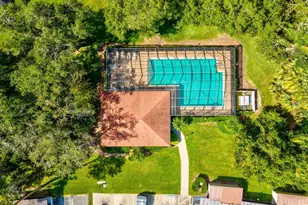 3358 Mermoor Dr, Palm Harbor, FL 34685 - Photo 42