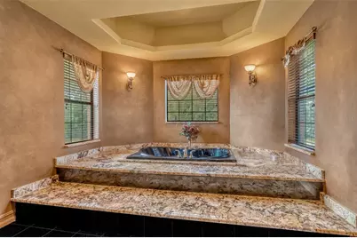 1079 Ashland Avenue, Tarpon Springs, FL 34689 - Photo 26