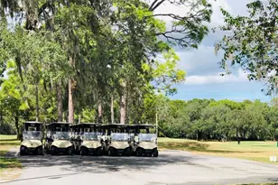 7280 Scotland Cir, Weeki Wachee, FL 34613 - Photo 34