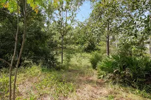 4219 Surfside Cir, Spring Hill, FL 34606 - Photo 56